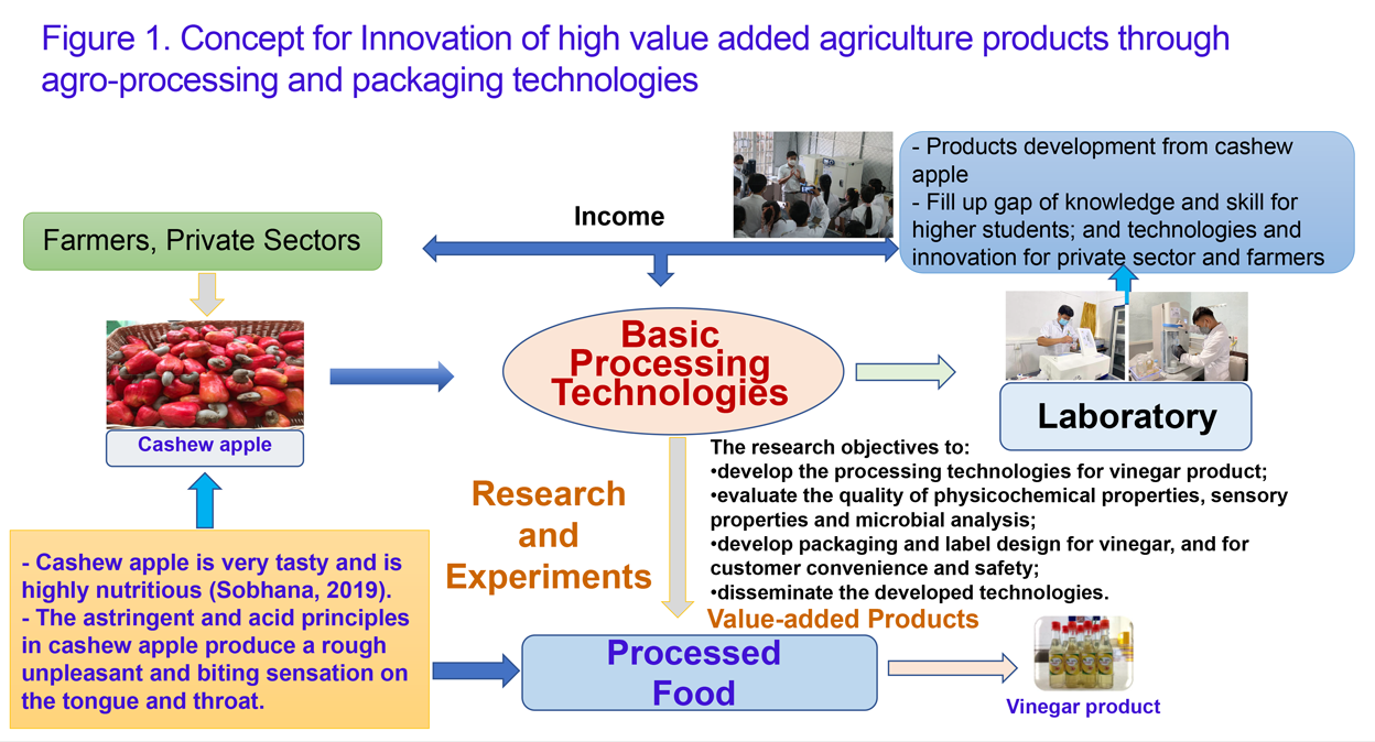 Figure 1. Concept for Innovation of high value added agriculture products through agro-processing and packaging technologies 