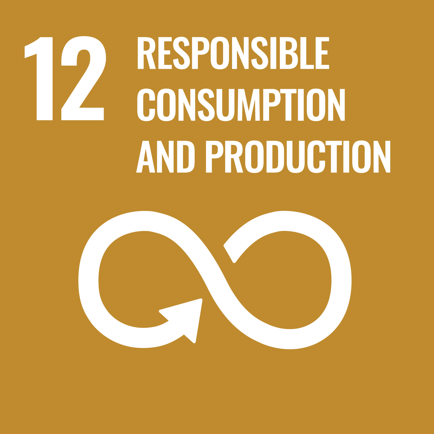12 No Responsible Consumption and Production