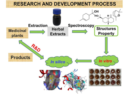 Research and Development Process