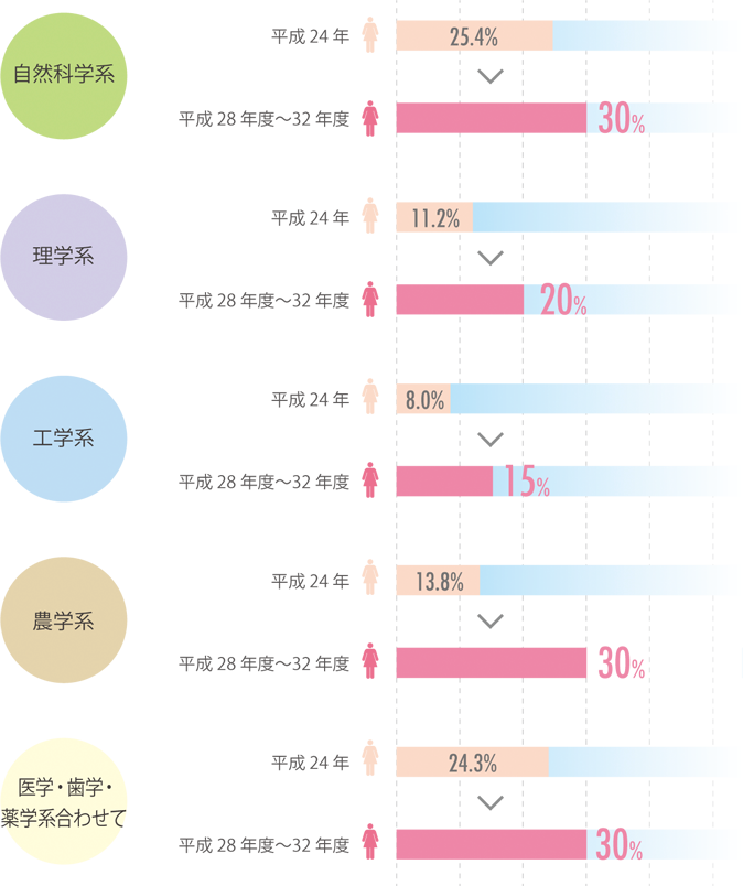 第4次男女共同参画基本計画（平成27年12月25日決定）