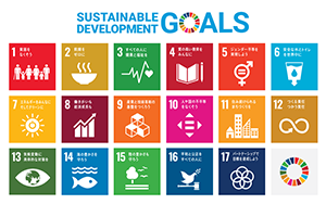 SDG17のゴール