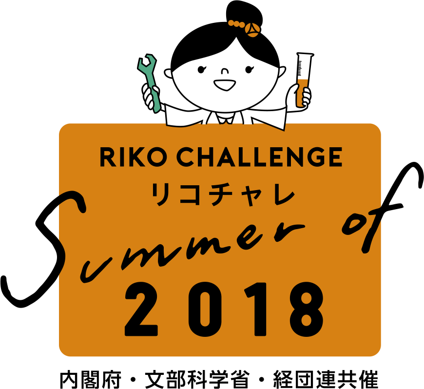 RIKO CHALLENGE 2018
